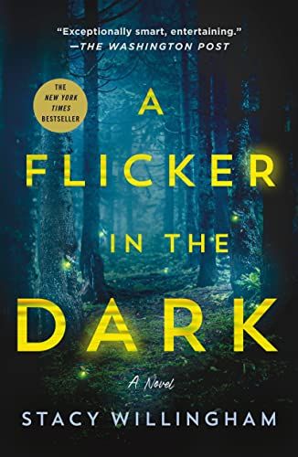 A Flicker in the Dark: A Novel | Amazon (US)