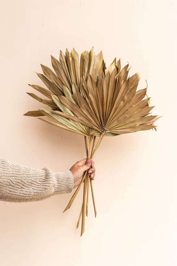 Natural Sun Spear Palm Leaves Natural  5 Stems | Etsy | Etsy (US)