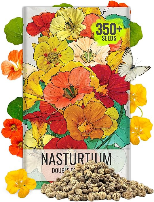 Seed Needs Flower Seeds Nasturtium Double Gleam Seed Edible Multicolor Blooms | 350+ Heirloom See... | Amazon (US)