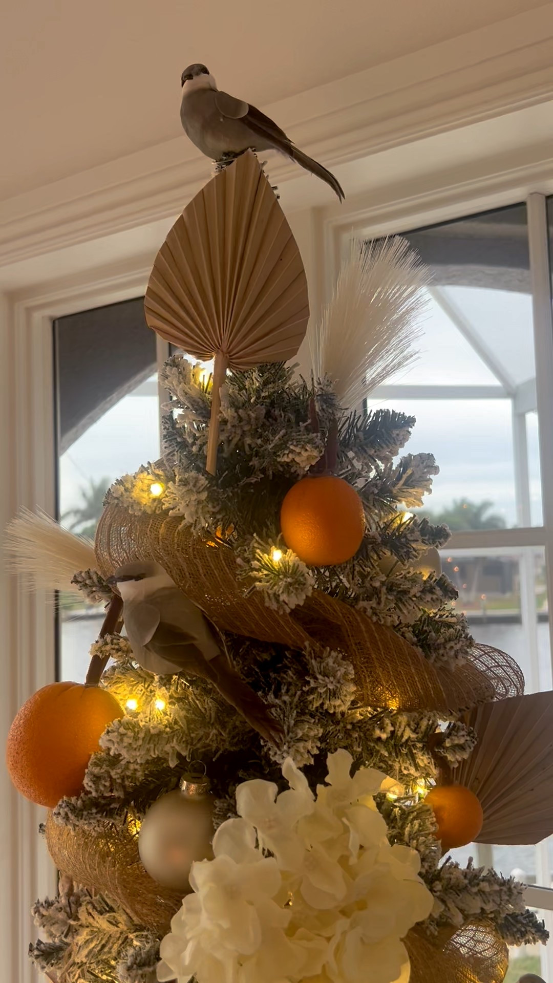 Our Florida themed Christmas tree! 🍊🌲Some ornaments I bought and some I made. The ornaments I made, I got the supplies from Hobby Lobby but couldn’t link them. Shop similar options below. #christmas #christmastree #christmastheme #orange #orangetree #fl #floridachristmas #bohochristmas #tropicalchristmas #christmasinparadise #christmasdecor #christmasornaments #diy #diyxmas #xmasttree

#LTKHoliday #LTKHome #LTKFindsUnder50
