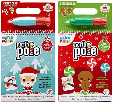 Holiday Water Magic (2 Pack - Candy Cane & Gingerbread) - Scented Reusable Water Reveal Activity ... | Amazon (US)