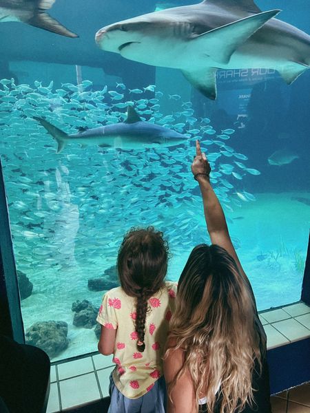Shark ladies checking out the sharks 🦈 

#LTKkids #LTKtravel #LTKfamily