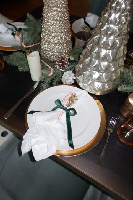 christmas holiday table setting velvet ribbon 


#LTKHoliday #LTKSeasonal #LTKhome