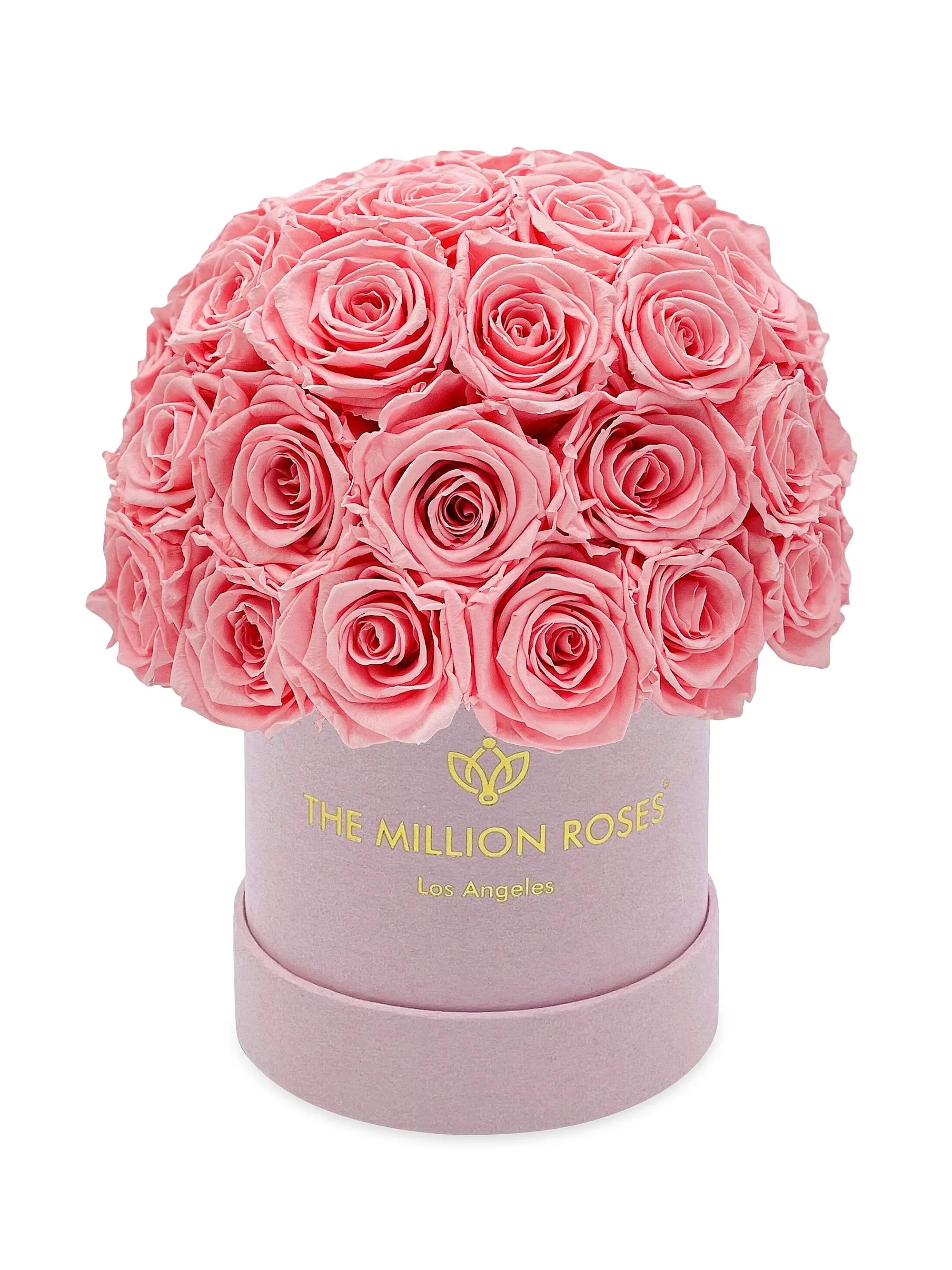Basic Suede Superdome Box of Roses | Saks Fifth Avenue