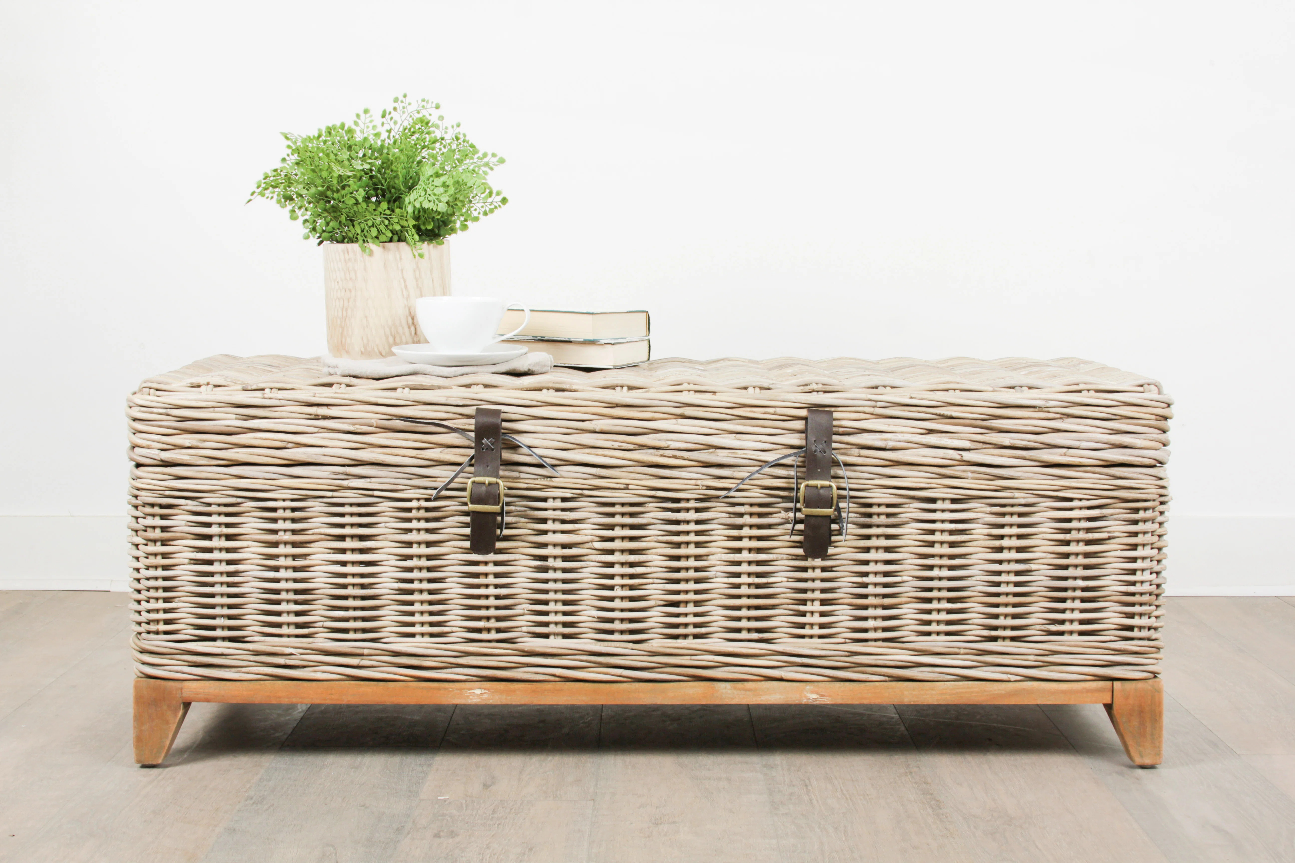 Demetri Wicker Trunk | Wayfair North America