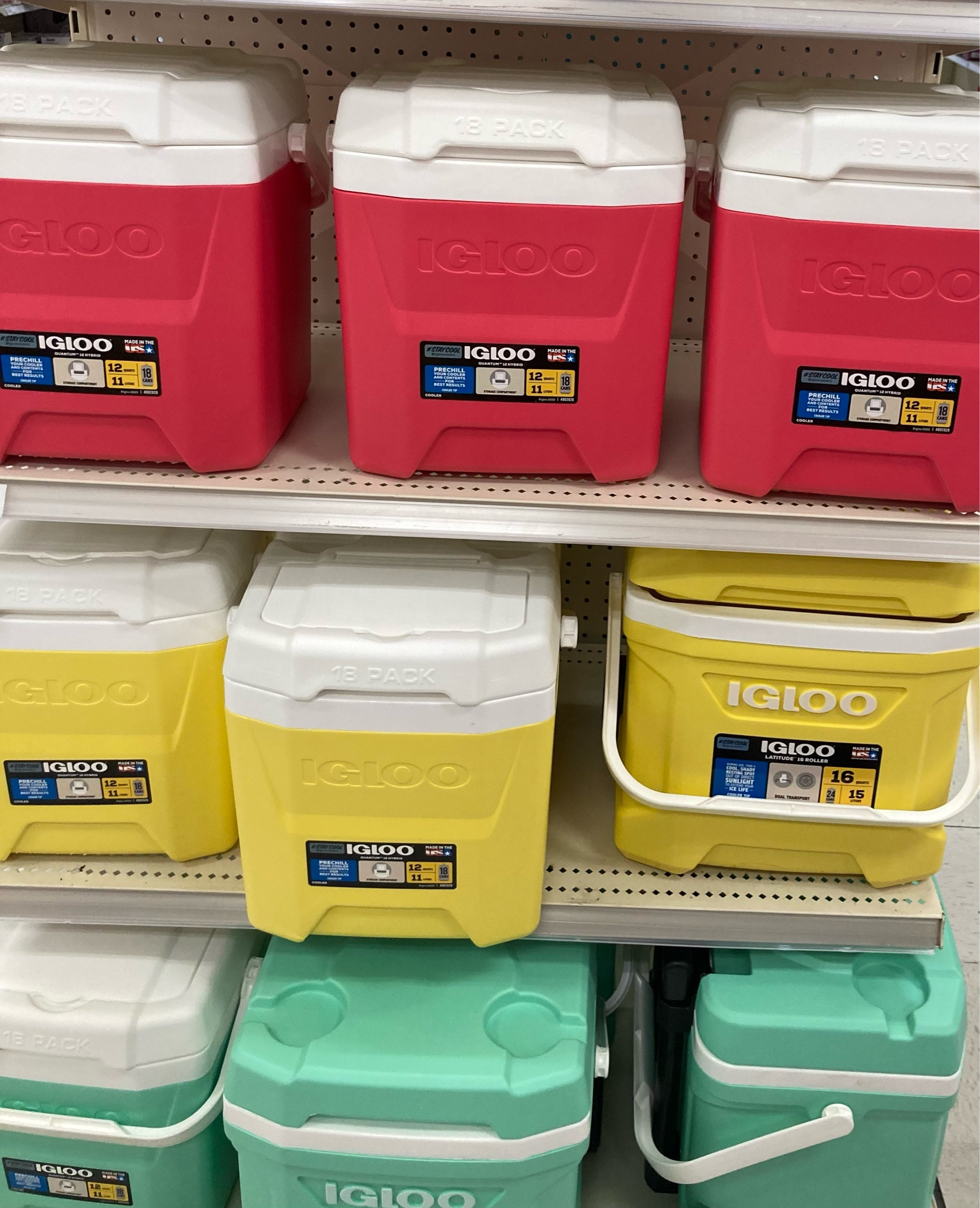Igloo colorful 12 & 16 oz coolers
16 oz has wheels and a handle 

#LTKGiftGuide #LTKFind #LTKSeasonal