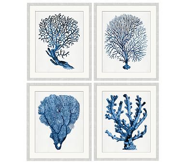 Coral in Blue Framed Prints | Pottery Barn (US)