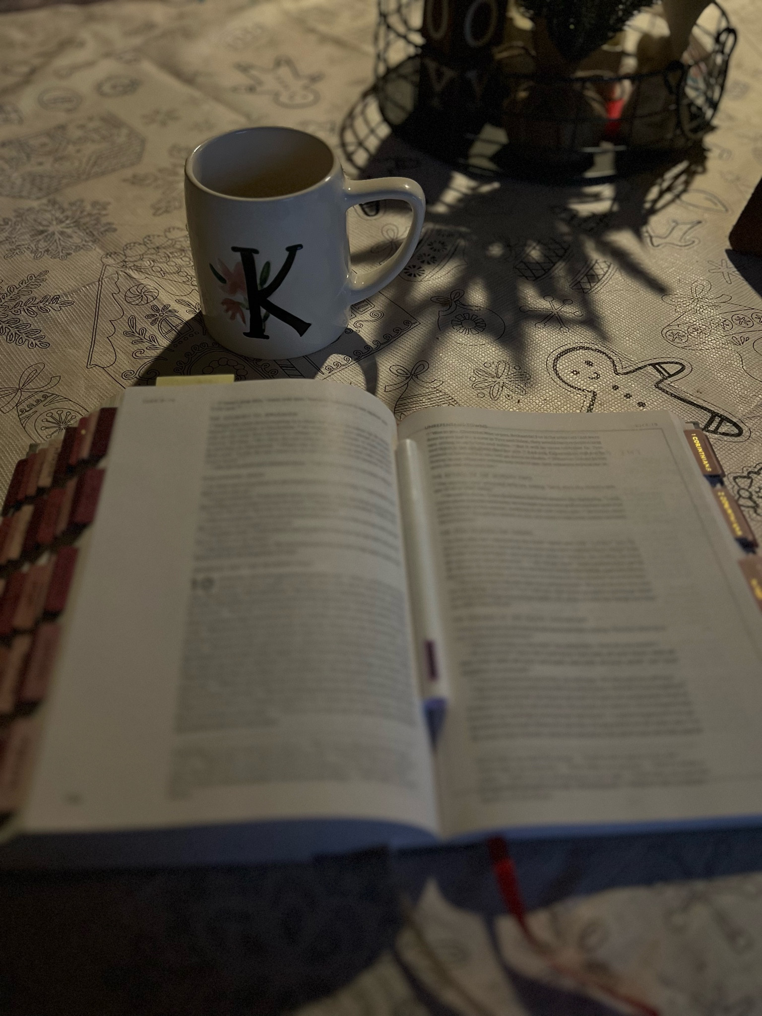 Christmas color your own tablecloth + Bible study ✨

#LTKHome #LTKSeasonal #LTKHoliday