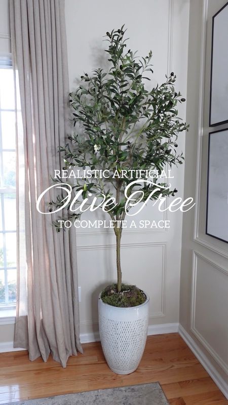 Realistic looking artificial olive tree 
This is the 6.5ft under $100
#homedecor #amazonhome #amazonfind

#LTKHome #LTKSaleAlert #LTKVideo