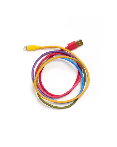 Back Me Up! Charging Cord - Rainbow | ban.do