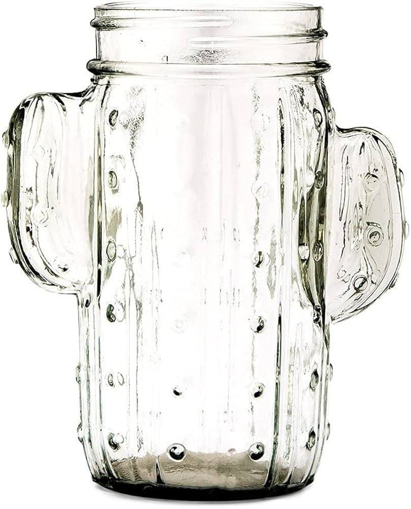 Weddingstar Cactus Mason Jar Drinking Glass 12 oz - Clear | Amazon (US)