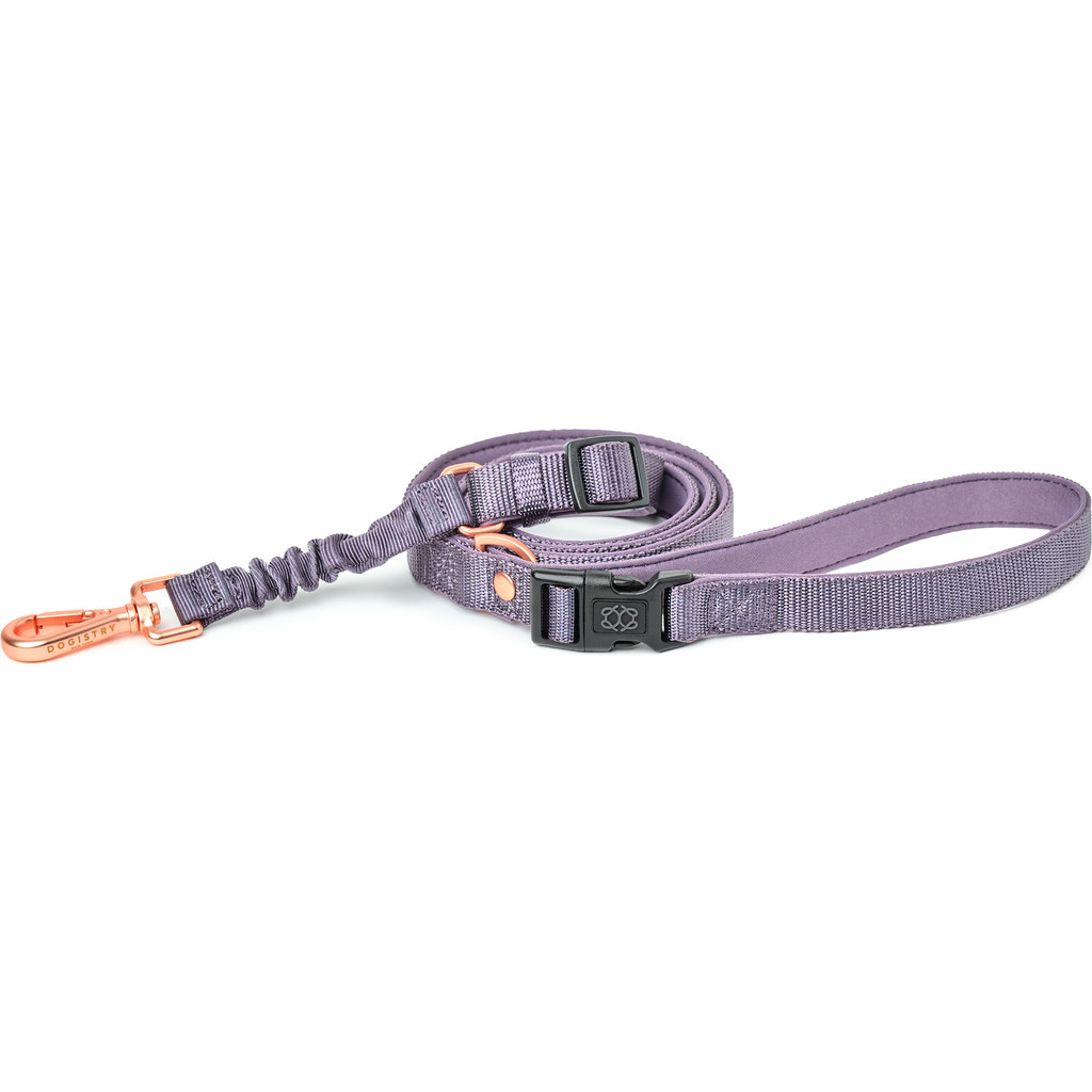 Dogistry 3-in-1 City Dog Leash in Lilac Gray - Medium at Nordstrom | Nordstrom