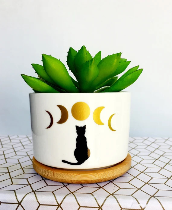 Cat with moon phases, moon phases, cat and moon, celestial cat, best friend gift | Etsy (US)