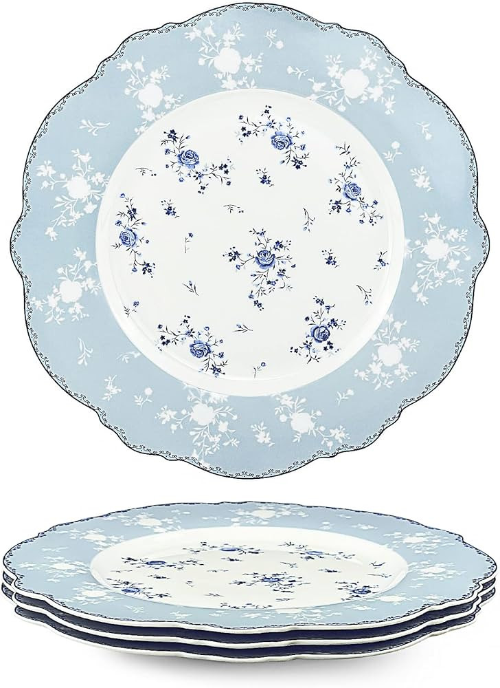 fanquare 10 Inch Porcelain Dinner Plates Set of 4, Lace Dishes Set for Salad, Pasta, Soup, Desser... | Amazon (US)