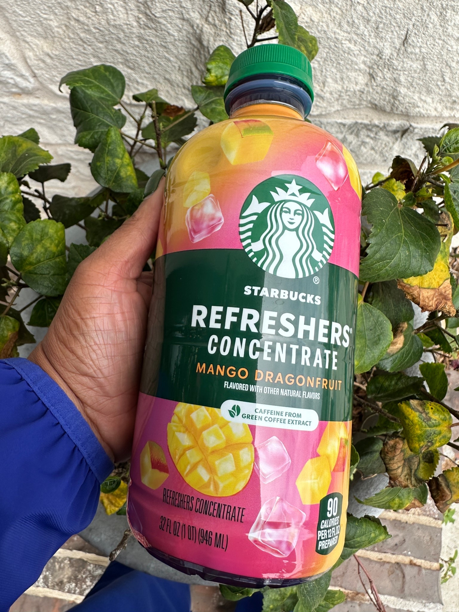 Did you know that you can make the Starbucks refreshers at home. #StarbucksRefreshers #Refreshing #Drinks #MangoDragonFruit 

#LTKfoodie