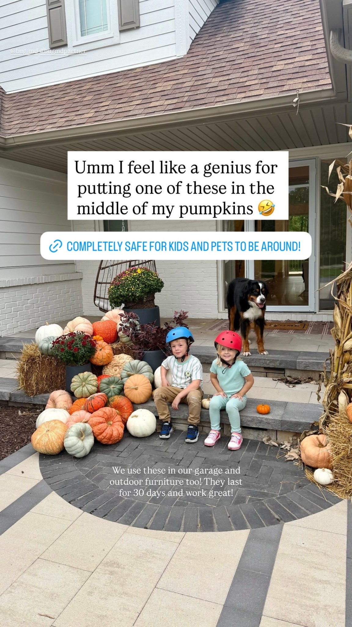 @bug_md for the win! Now I don’t have to worry about any critters getting in my pumpkins!