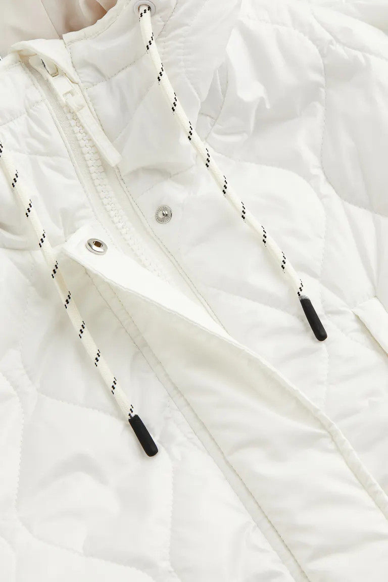 Hooded Coat | H&M (US + CA)