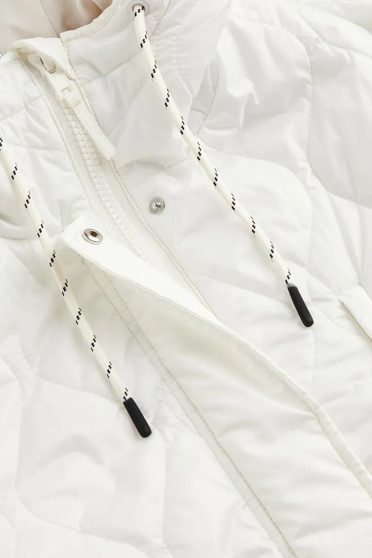 Hooded Coat | H&M (US + CA)