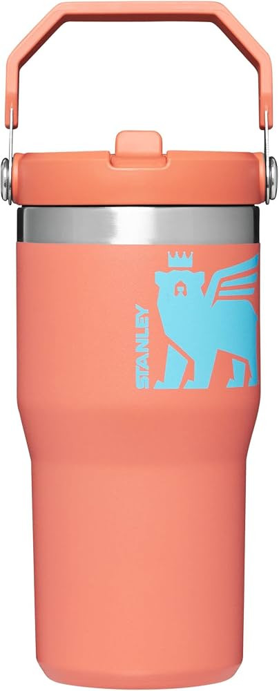 Stanley Classic IceFlow Flip Straw Tumbler for Kids (8 or Above), 20oz, Stan the Bear Stainless S... | Amazon (US)