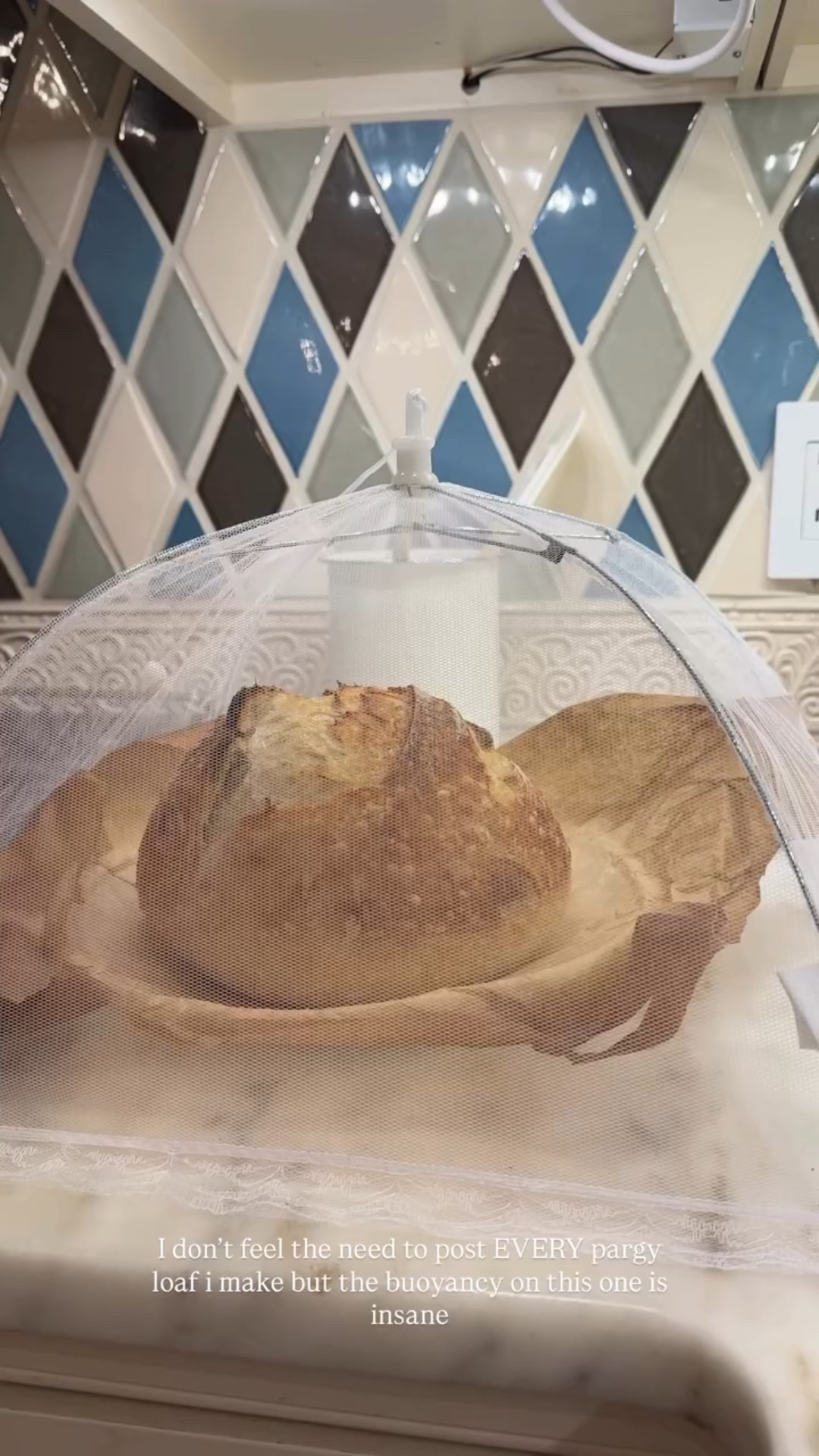 These food covers are essential if you have flies in your kitchen like me