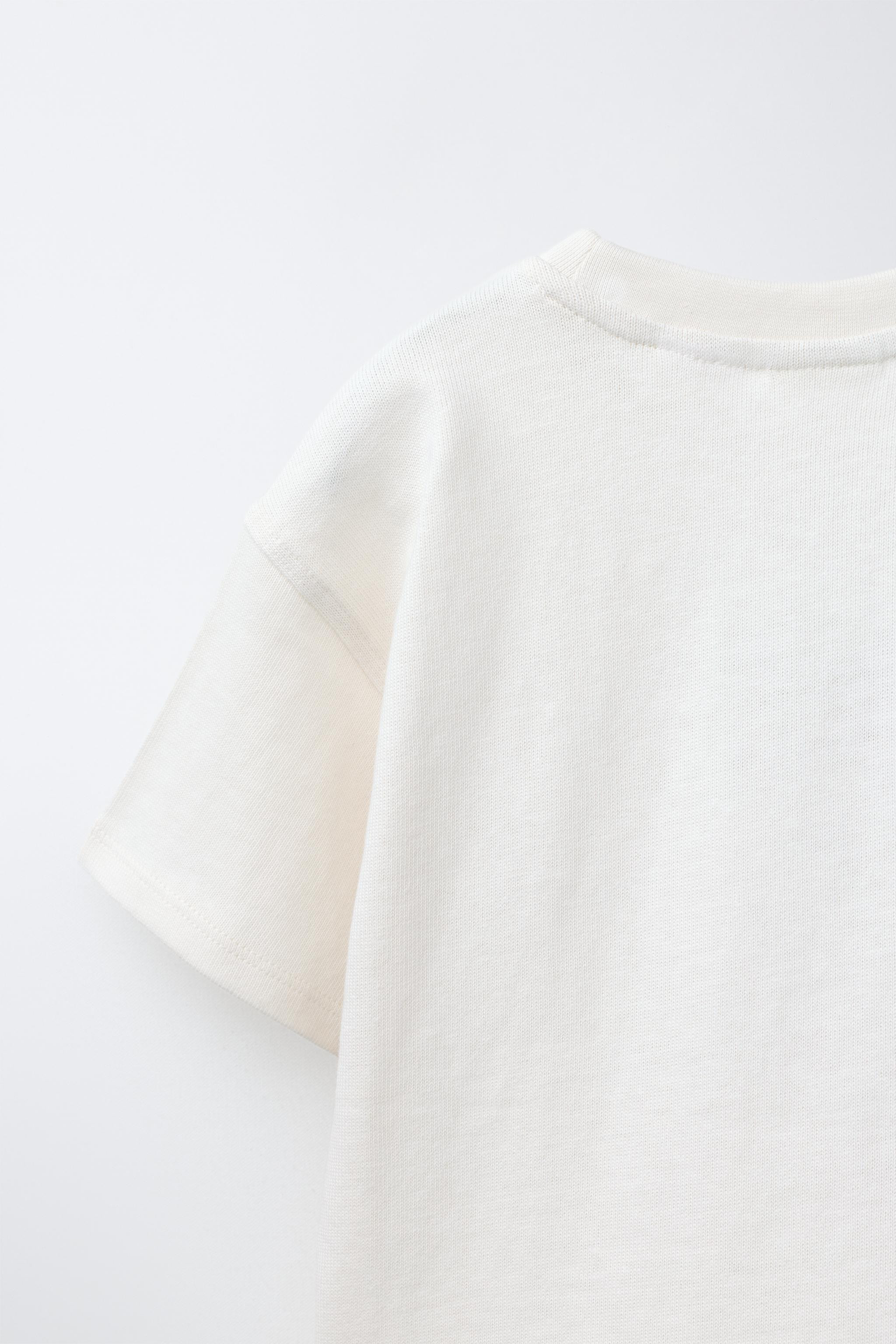 EMBROIDERED T-SHIRT | Zara UK