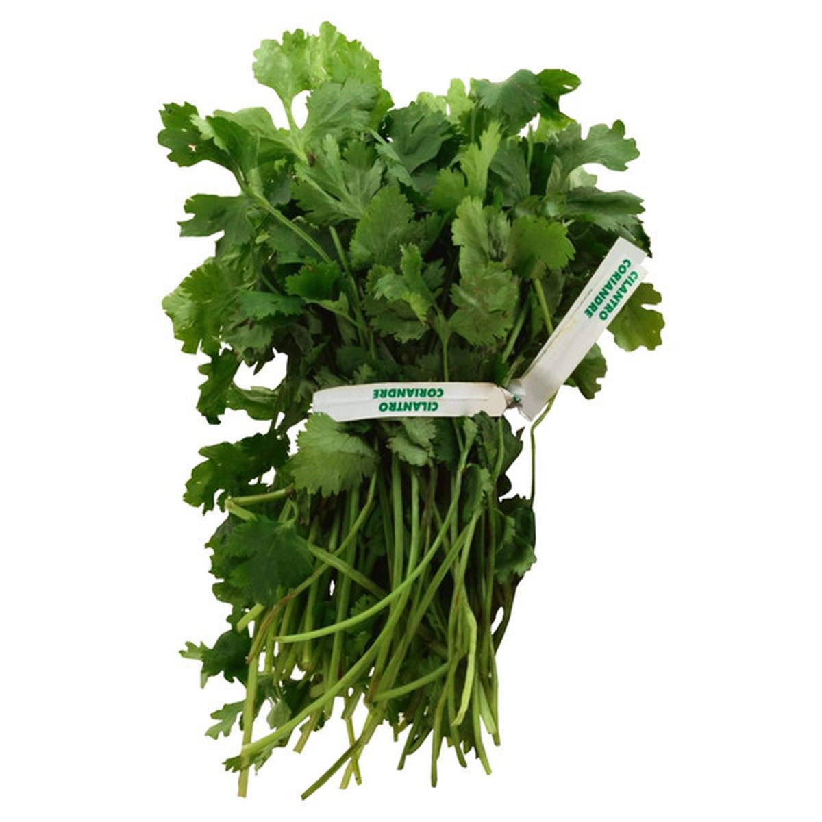 Cilantro | Instacart