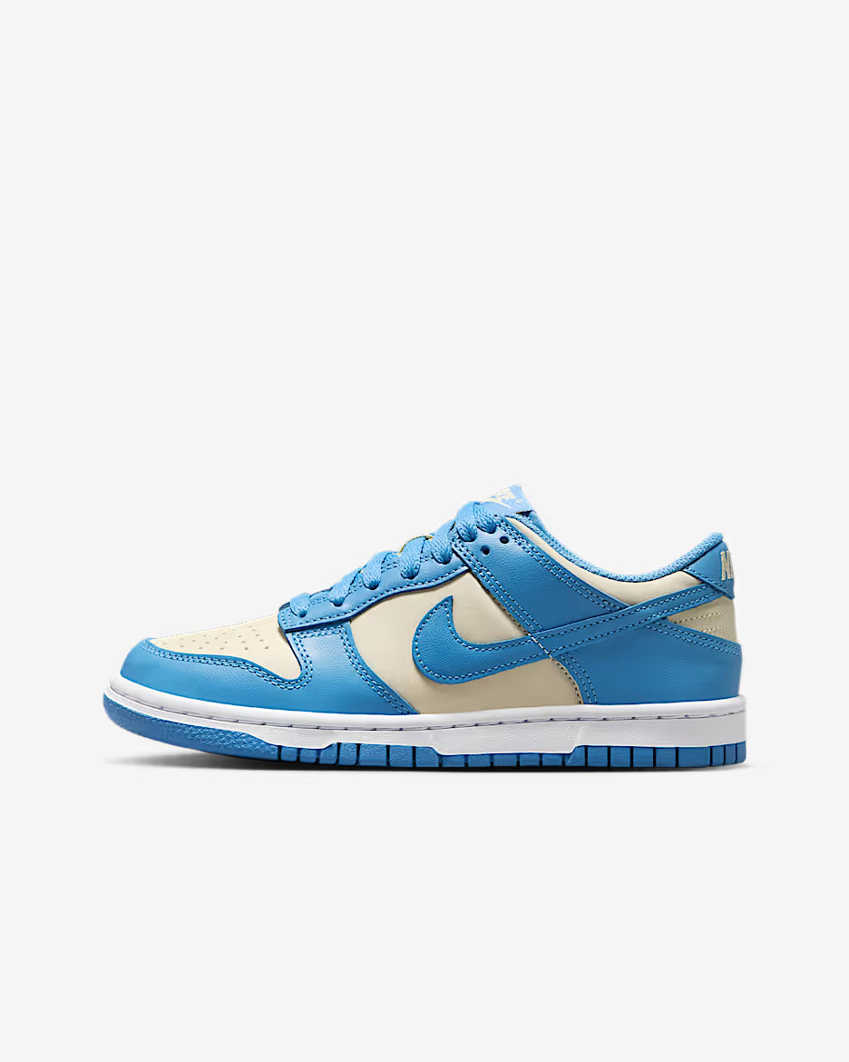 Nike Dunk LowBig Kids' Shoes | Nike (US)