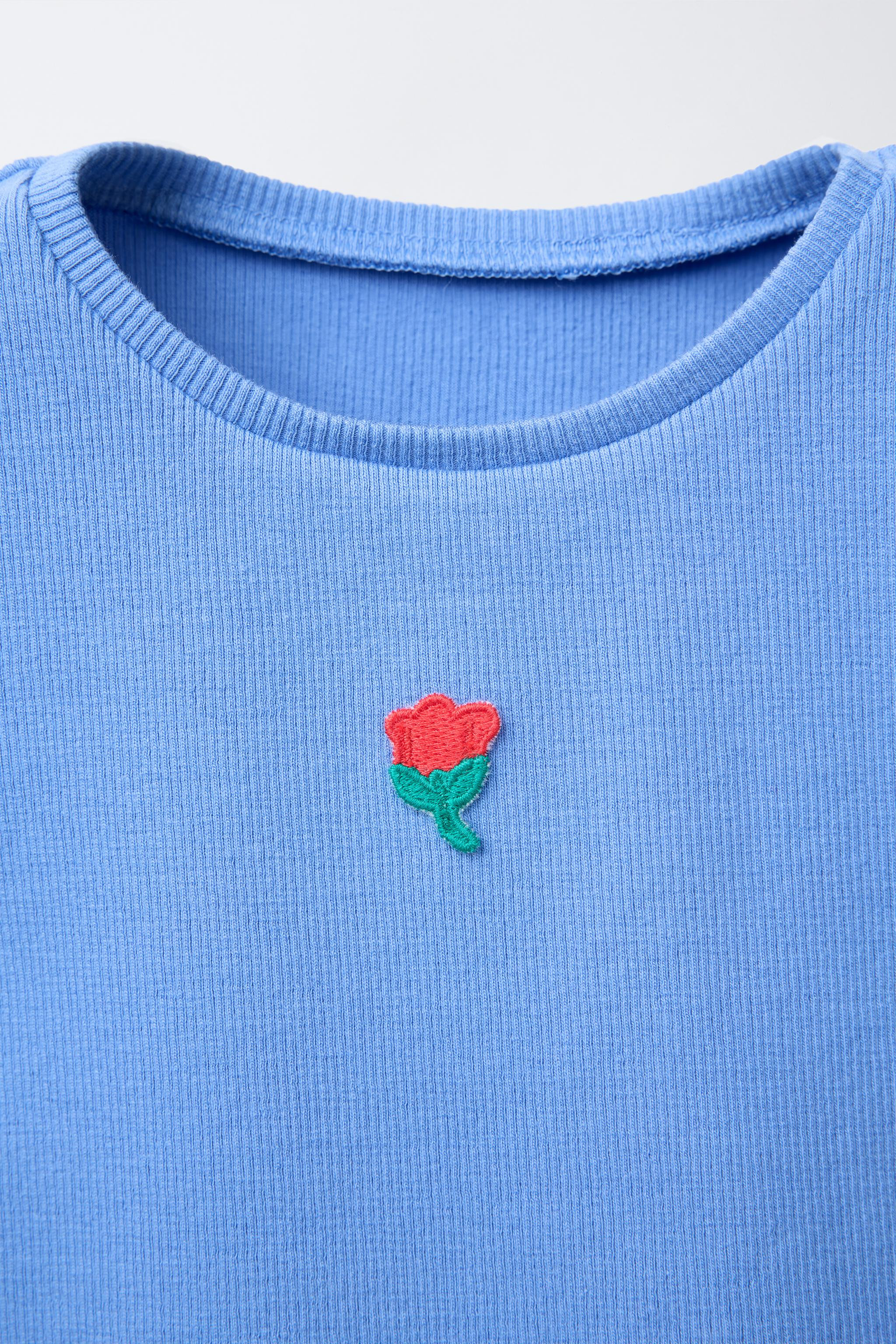 EMBROIDERED RIBBED T-SHIRT | Zara US