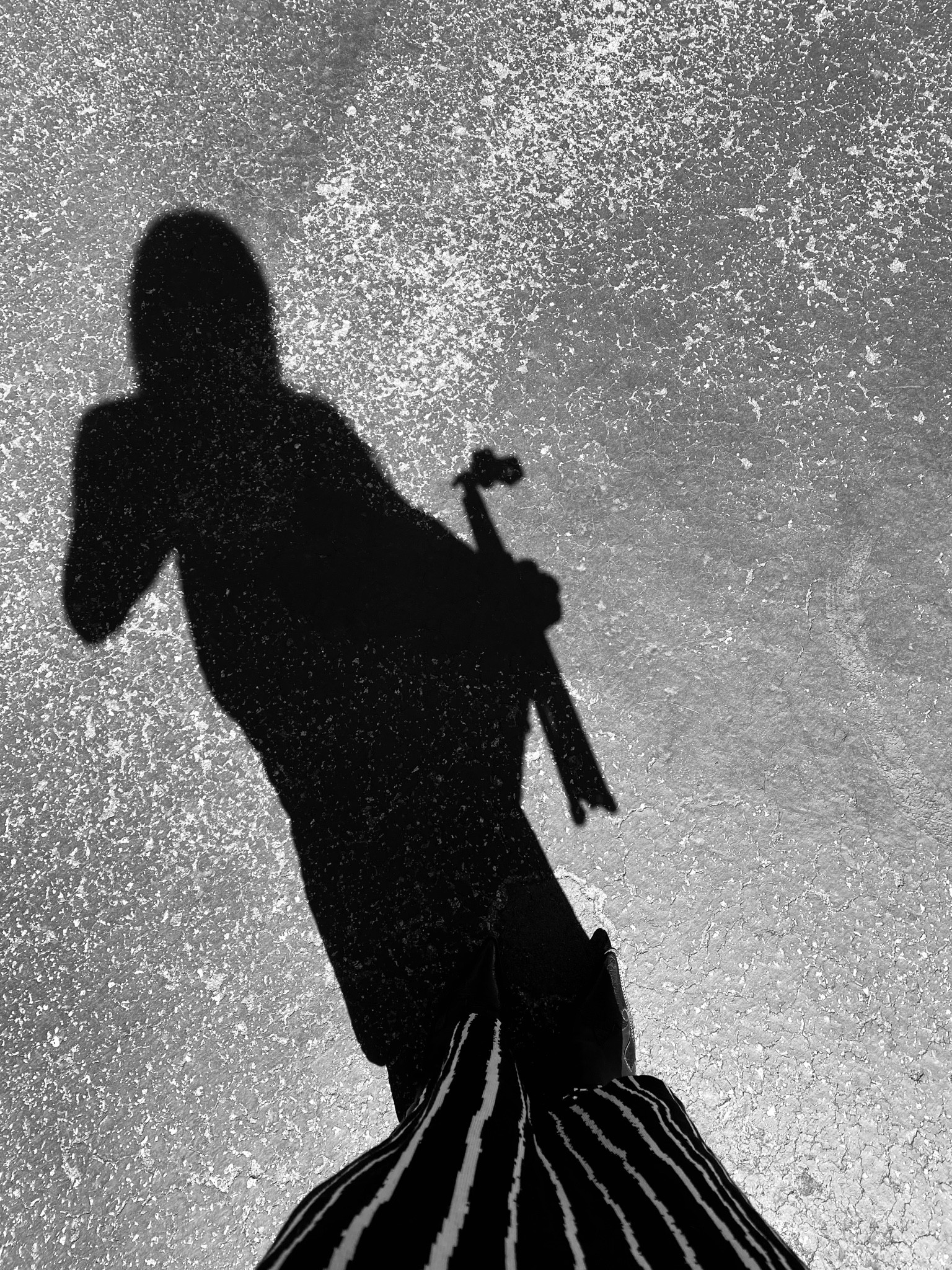 The tripod that makes filming and shooting easy! Easy to travel with and set up. 

#LTKover40