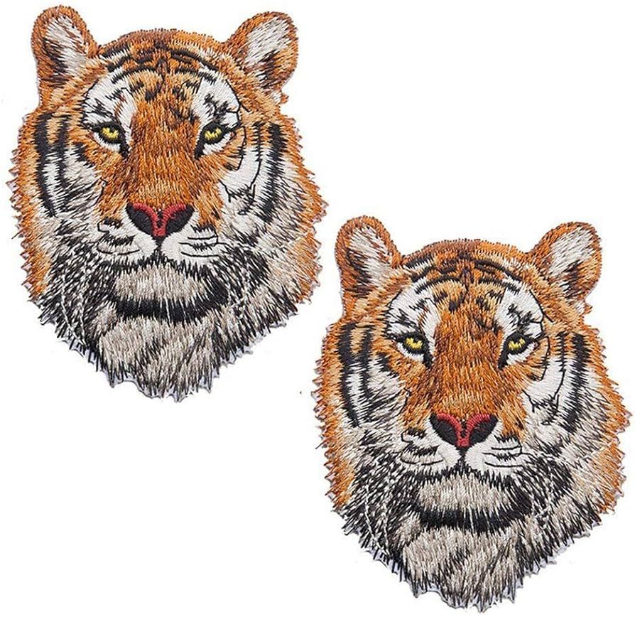 2 Pack Delicate Embroidered Patches, Iron On Patches, Cool Embroidery Patches, Sew On Applique Ti... | Amazon (US)