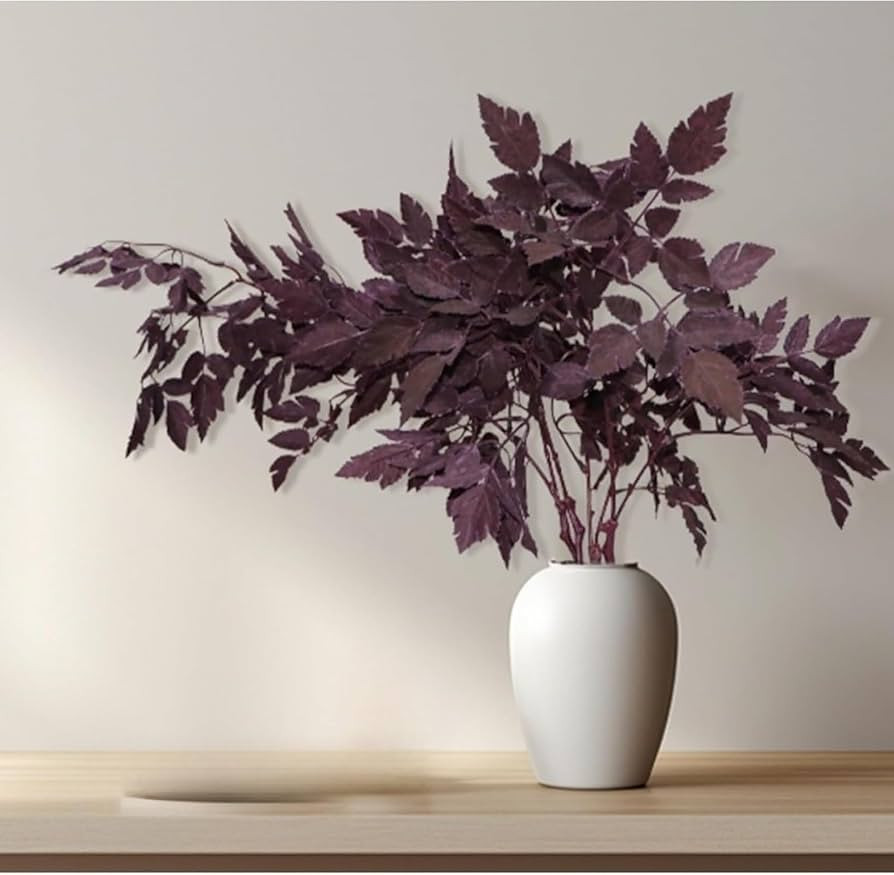 WZJYBKF 5Pcs Cimicifuga Plum Stems Fall Stems Artificial Cimicifuga Plant Leaf for Home Vase Wedd... | Amazon (US)