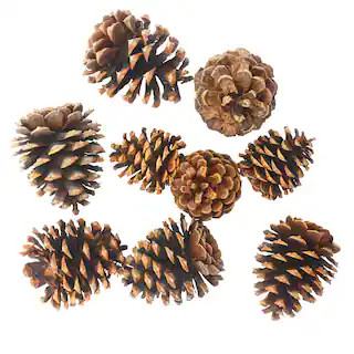 Cinnamon Scented Pinecones by Ashland® | Michaels | Michaels Stores