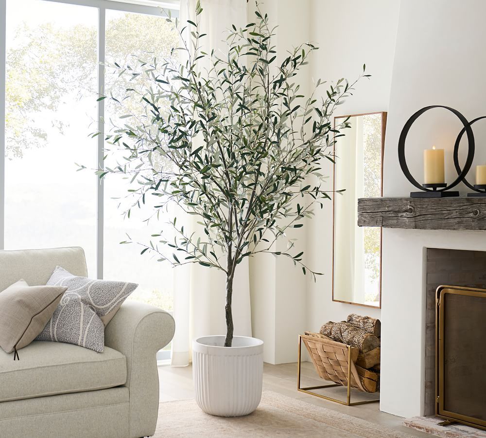 Faux Potted Olive Trees | Pottery Barn (US)