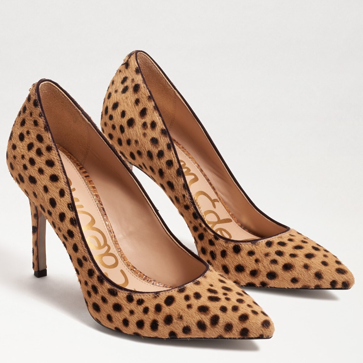 Hazel Pointed Toe Heel | Sam Edelman