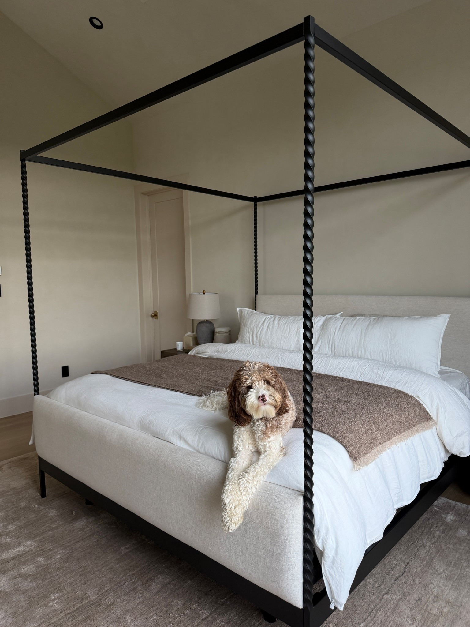 Ollies fav spot in the house!!! 🤍

Home finds, home decor, Amazon finds, nightstand organization, comforter, bed sheets, rug, bedroom finds