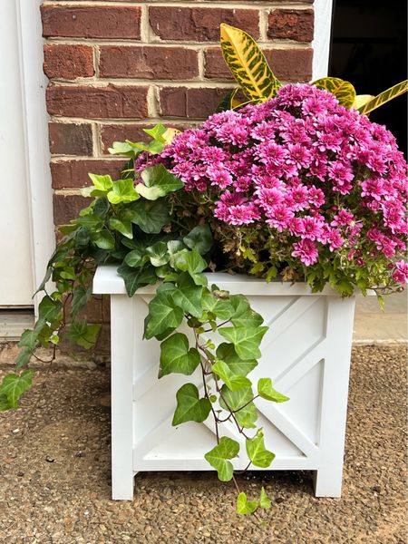This medium-sized planter is great for a variety of places around my yard.

#LTKHome