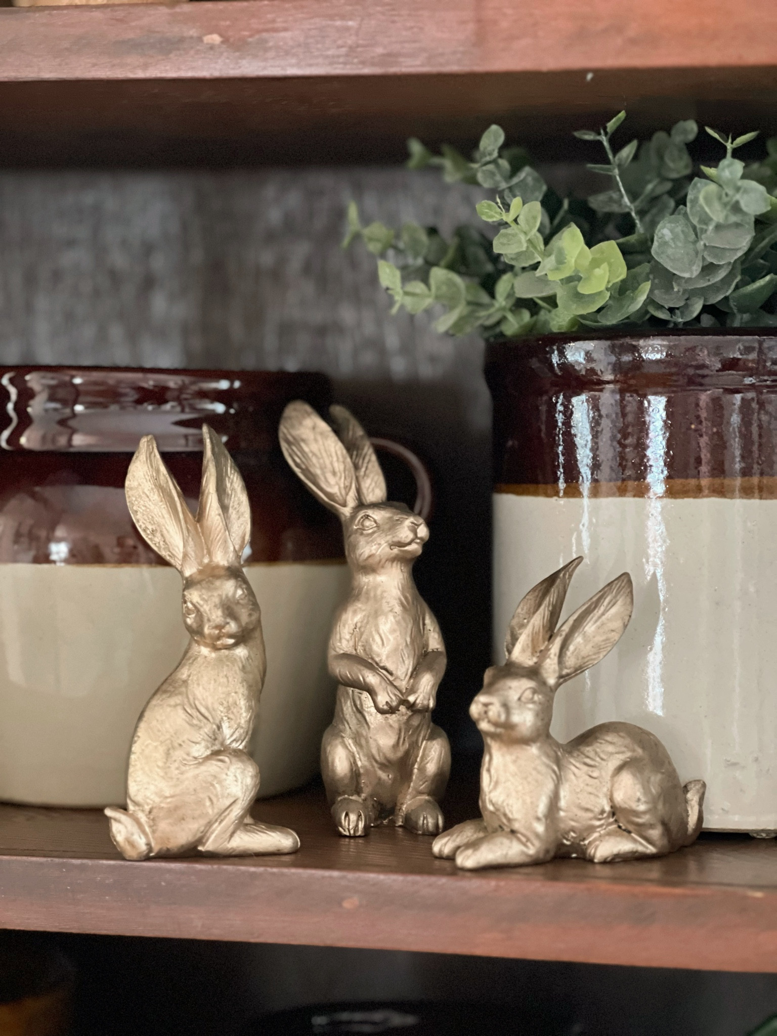 The cutest little bunnies I ever did see  

#LTKhome #LTKfamily #LTKSeasonal