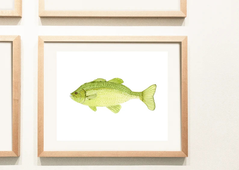 Largemouth Bass Watercolor Painting, Largemouth Bass Watercolor Print, Watercolor Bass, Fishing A... | Etsy (US)
