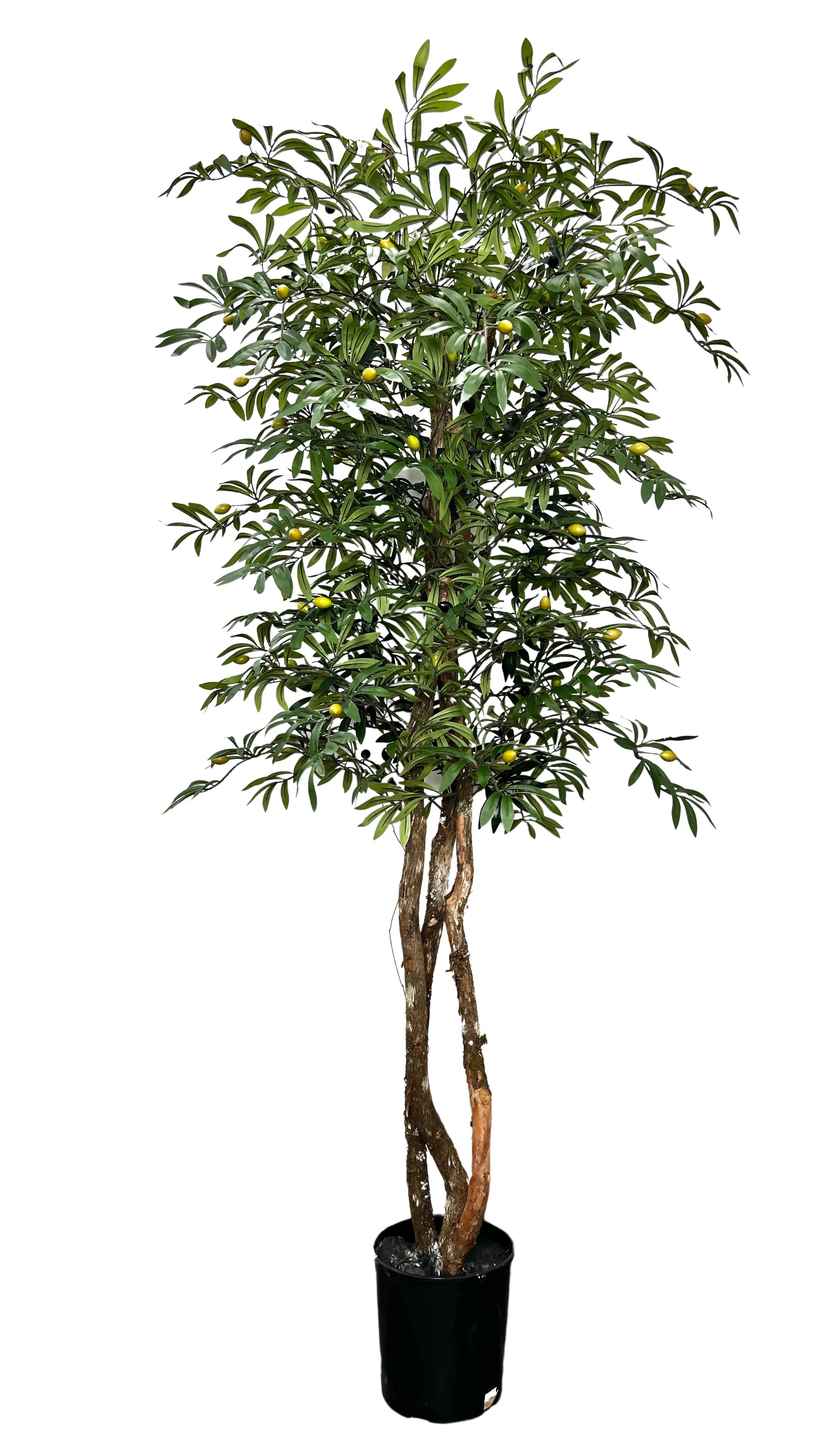 Cypress & Alabaster 78'' Faux Olive Tree Tree & Reviews | Wayfair | Wayfair North America