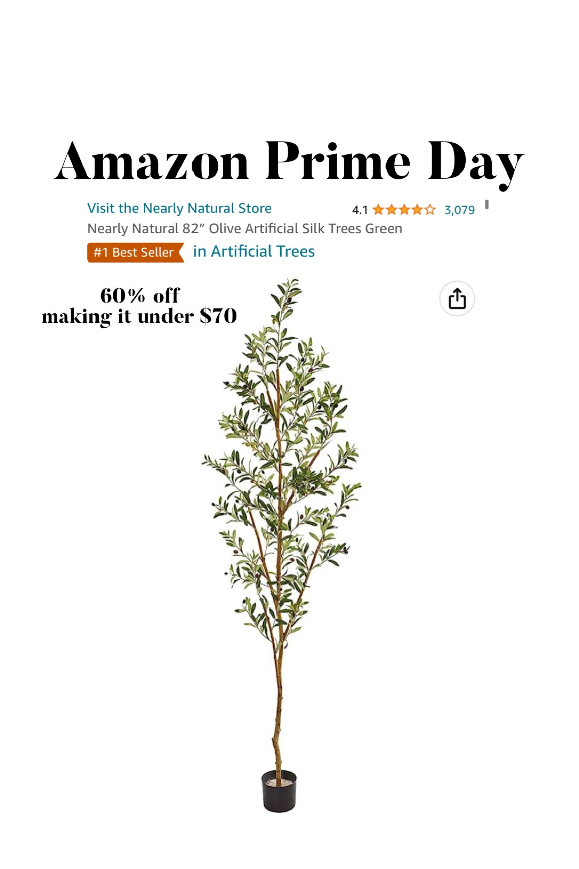 Olive tree under $70, amazon prime day deals, home finds 

#LTKsalealert #LTKxPrimeDay #LTKhome