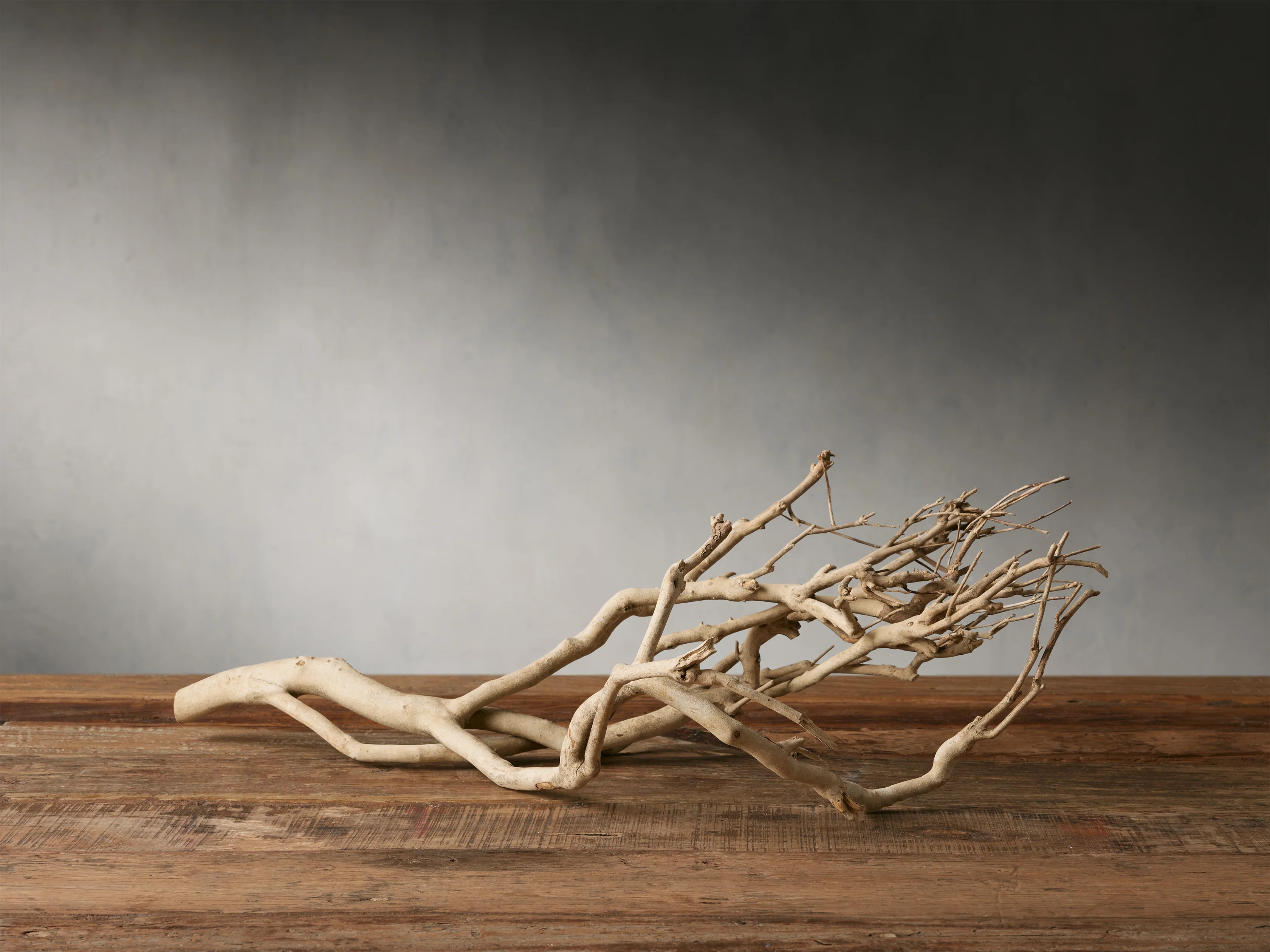 Natural Tea Tree Branch | Arhaus