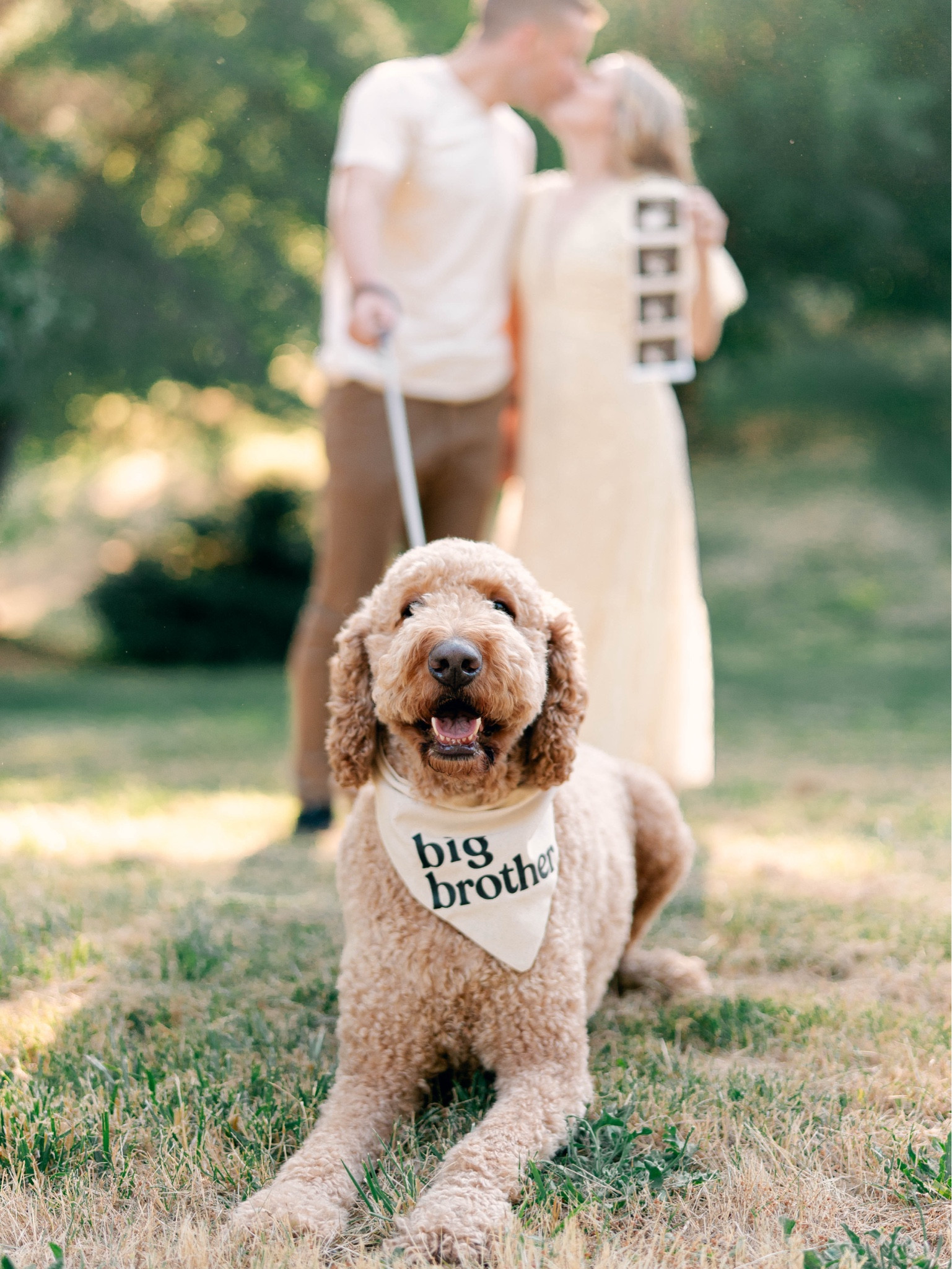 Promotion to big brother 💛

#LTKStyleTip #LTKBump #LTKFindsUnder50
