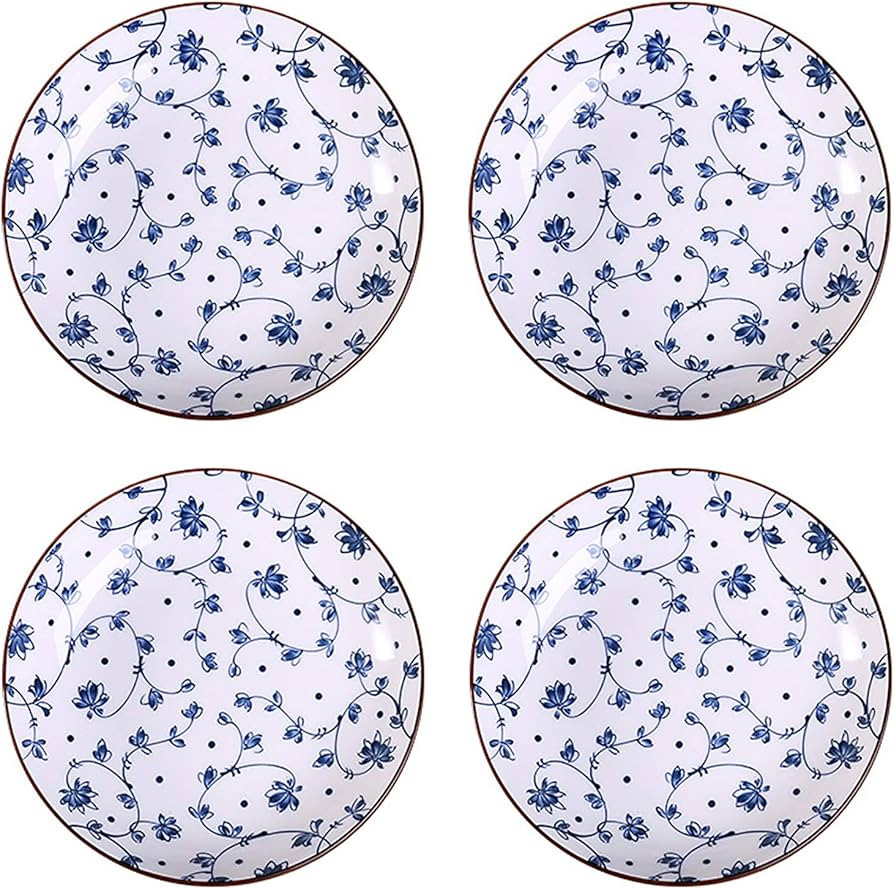 Gegong 4 Pack Blue and White Porcelain Dish Serving Plates Floral Dinner Shallow Plates Appetizer... | Amazon (US)