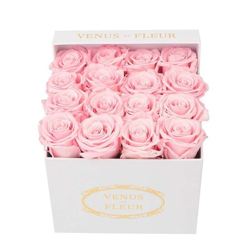 Small Square | Venus ET Fleur