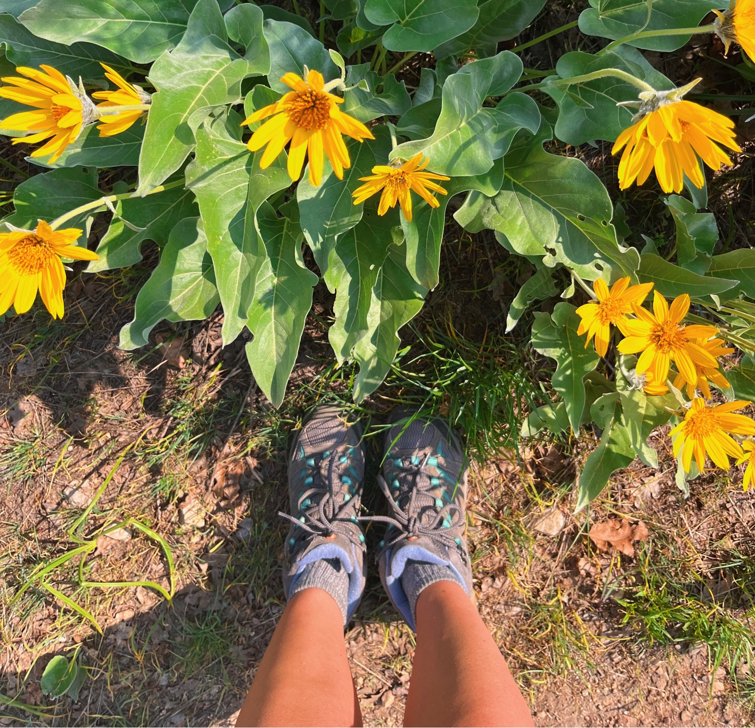 the best hiking boots to ever exist- now it’s time to hit the trails 🏔

#LTKSeasonal #LTKshoecrush #LTKunder100