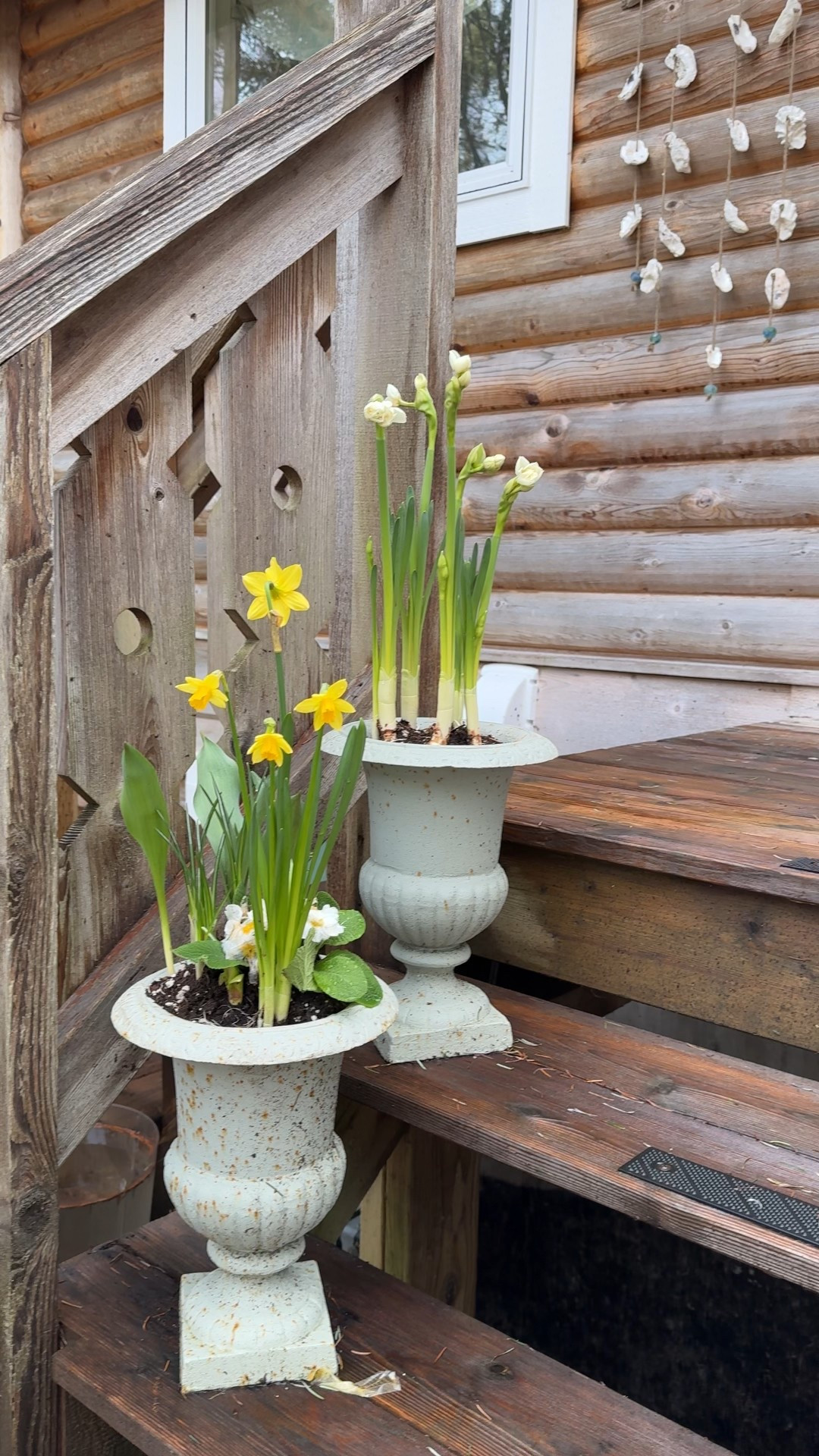 Come tour my mudroom in my seaside log cabin. Lots of tips and tricks for creating a cosy entrance  

#LTKhome #LTKstyletip