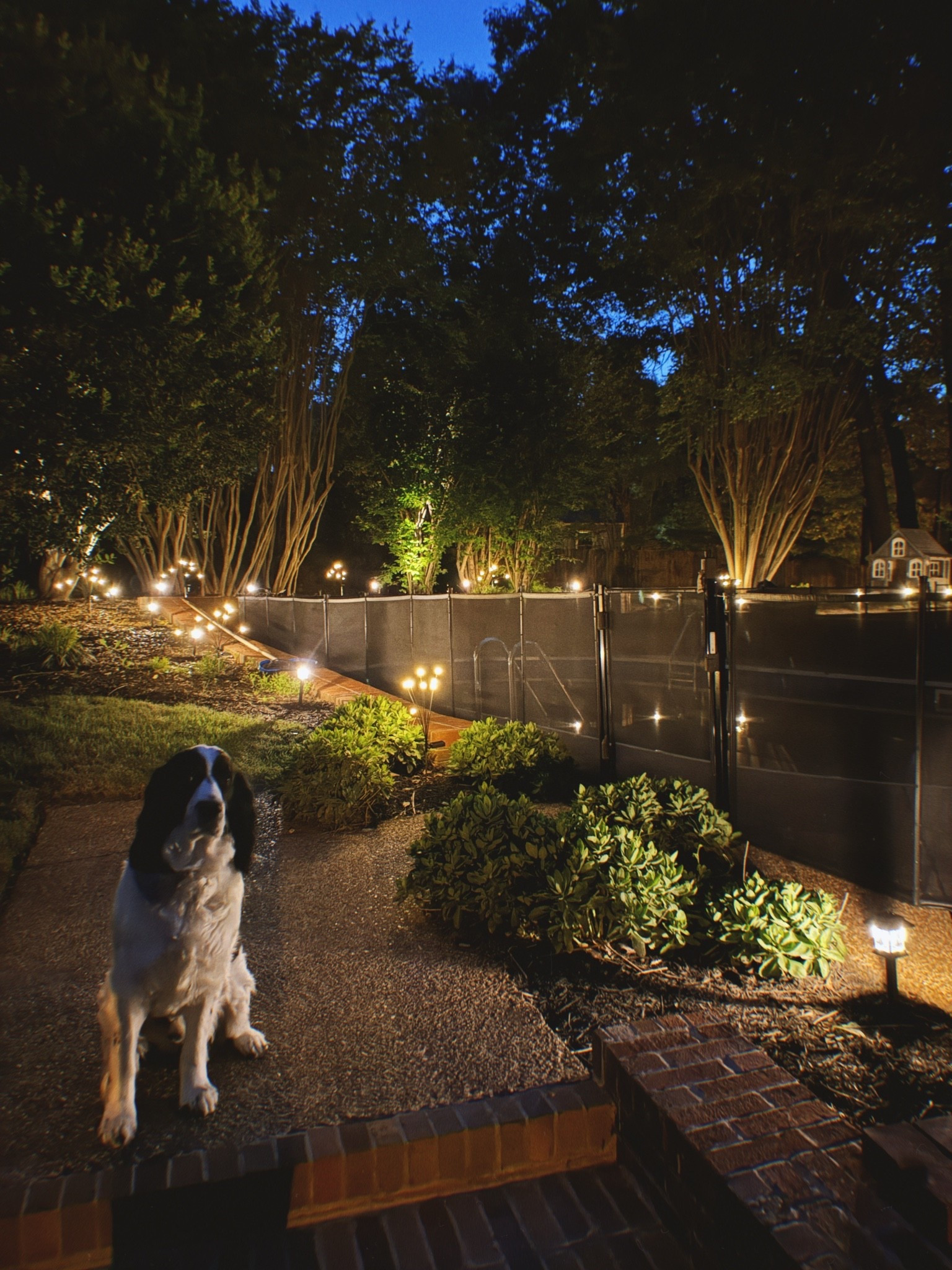 The best solar lighting!

#LTKSeasonal #LTKHome