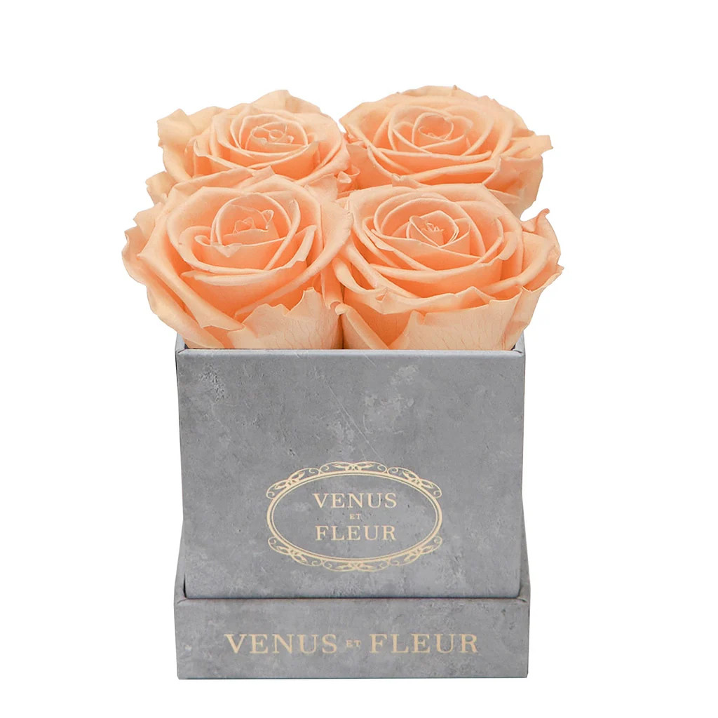 Concrete Le Petit Square Eternity® Rose Arrangement - Venus et Fleur® | Venus ET Fleur