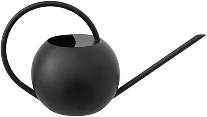 Hemoton Long Spout Watering Can for Indoor Plants - Small Water Can - Metall Vintage Watering Pot... | Amazon (US)