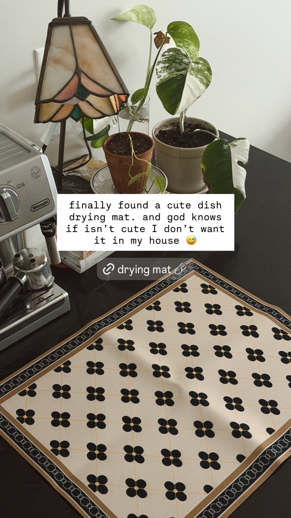 finally found a cute dish drying mat. and god knows if isn’t cute I don’t want it in my house 😅